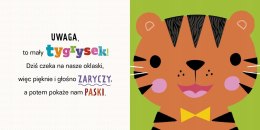 Uwaga, Krokodyl Książeczka Sensoryczna Dotykowa