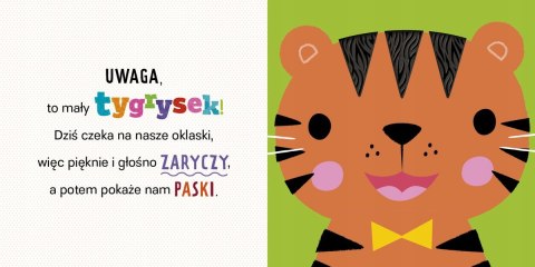 Uwaga, Krokodyl Książeczka Sensoryczna Dotykowa