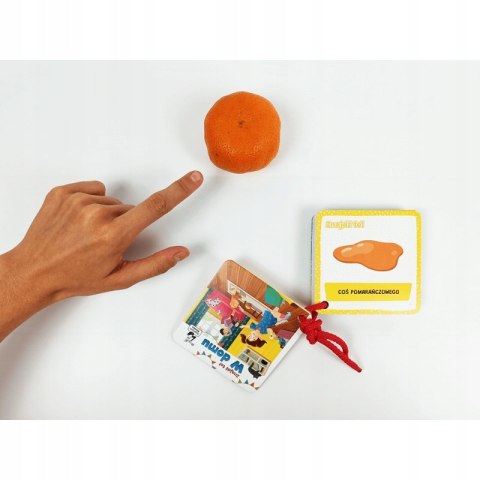 Gra planszowa Kapitan Nauka Znajdź to! W domu