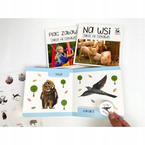 Kapitan nauka Maluch mówi Pierwsze słowa i dźwięki 3 Książeczki i Naklejki