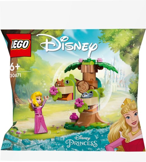 Lego Disney 30671 Leśny plac zabaw Aurory
