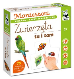 Montessori Zwierzęta tu i tam Kapitan Nauka Karty Sensoryczne