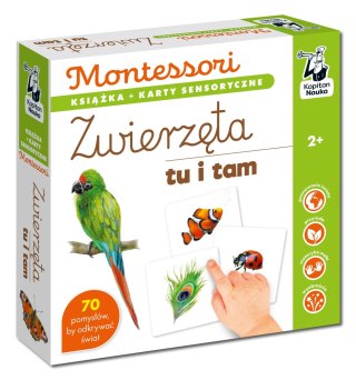 Montessori Zwierzęta tu i tam Kapitan Nauka Karty Sensoryczne