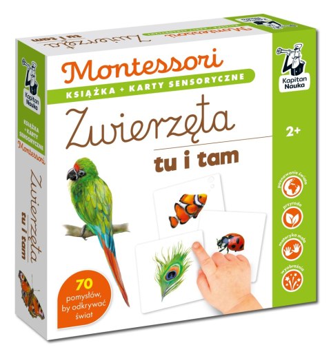 Montessori Zwierzęta tu i tam Kapitan Nauka Karty Sensoryczne