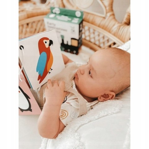 Widzę Szczegóły Karty Kontrastowe Malucha 6m+ Kapitan Nauka