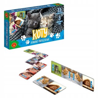 Domino Obrazkowe Koty Alexander Kotki