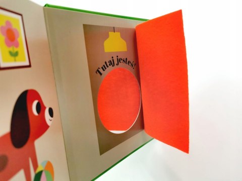 Gdzie się schował kotek? Akademia mądrego dziecka HarperKids