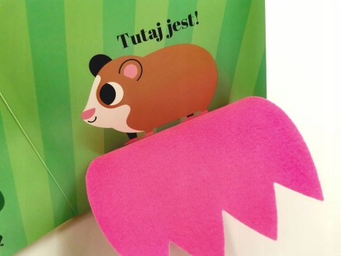 Gdzie się schował kotek? Akademia mądrego dziecka HarperKids