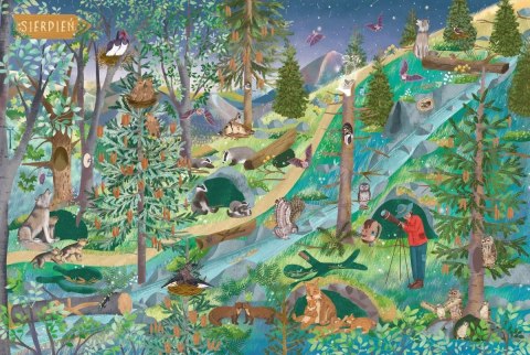 Rok w górach Książka Obrazkowa Nasza Księgarnia