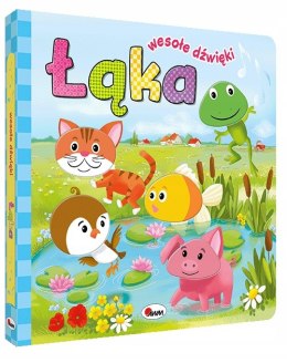 Książka Dźwiękowa Łąka Wesołe dźwięki Sensoryczna