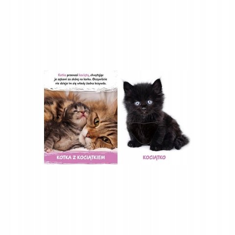 Milusińscy w Domu Książka z futerkami Sensoryczna