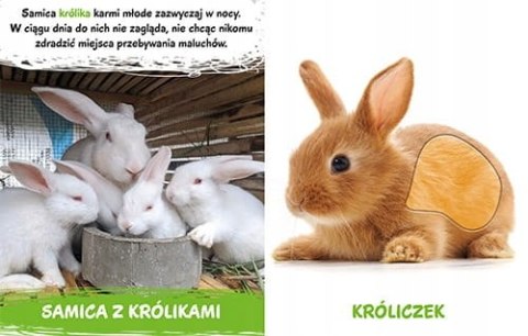 Milusińscy w Domu Książka z futerkami Sensoryczna