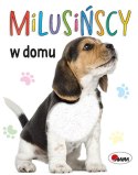Milusińscy w Domu Książka z futerkami Sensoryczna