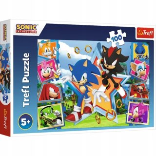 Puzzle 100 elementów Poznaj Sonica Sonic 16465 Trefl