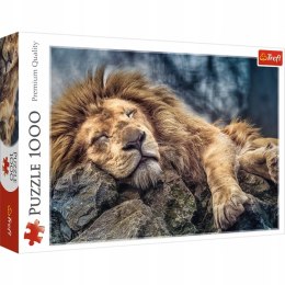 Puzzle 1000 elementów Śpiący Lew 10447 Trefl