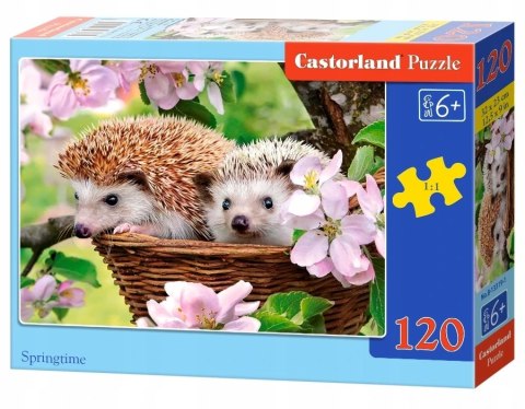 Puzzle 120 elementów Wiosenny czas Jeżyki Castorland 6+