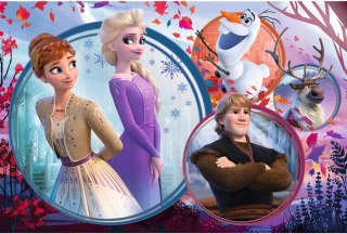 Puzzle 160 Kraina Lodu Frozen II 15374 Trefl