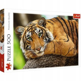 Puzzle 500 elementów Portret tygrysa 37484 Trefl