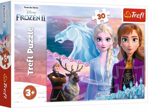 Puzzle Kraina Lodu Frozen II 30 el. 18253 Trefl