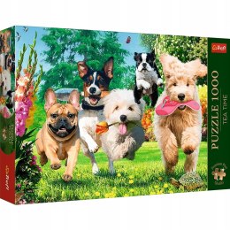 Puzzle Premium Plus 1000 elementów Nadchodzą kłopoty! 10800 Trefl