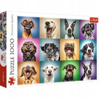 Puzzle Psie Portrety 1000 elementów 10462 Trefl