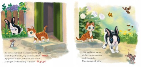 Co kotek miał? Bajki Wierszyki Bajka Drabik Skrzat