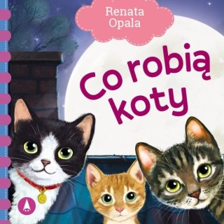 Co robią koty Skrzat Książeczka Bajeczka Wiersze dla Malucha