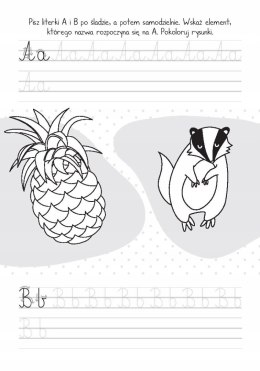 Mały Uczeń Moje Literki Piszę Litery Nauka Pisania Skrzat