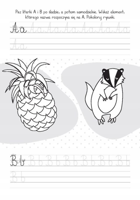 Mały Uczeń Moje Literki Piszę Litery Nauka Pisania Skrzat