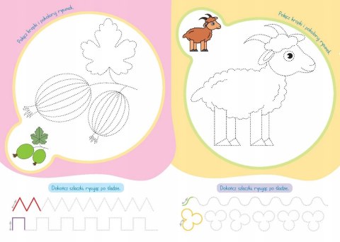 Mój mały Elementarz Szlaczki dla Przedszkolaka Skrzat