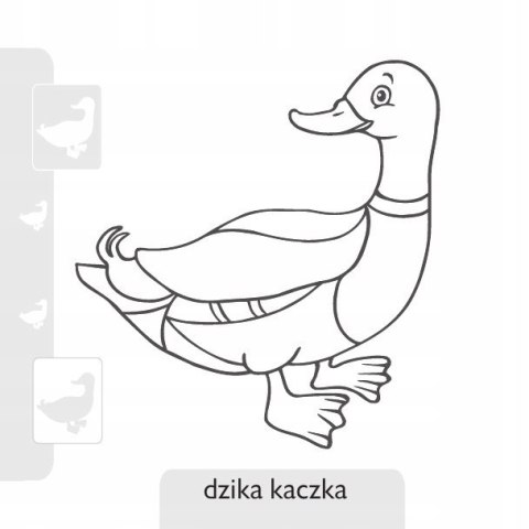 Pokoloruj Ptaki + 24 Naklejki Kolorowanka