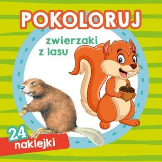 Pokoloruj Zwierzaki w lasu 24 Naklejki Kolorowanka Skrzat