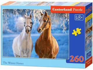 Puzzle 260 elementów Zimowe Konie Winter Horses Castorland 8+