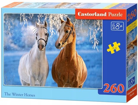 Puzzle 260 elementów Zimowe Konie Winter Horses Castorland 8+