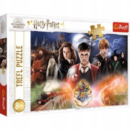 Puzzle 300 elementów Tajemniczy Harry Potter 23001 Trefl