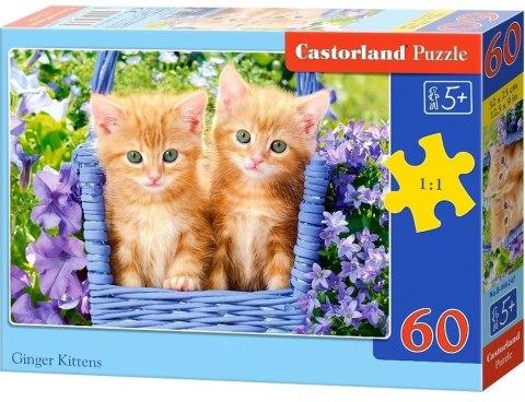 Puzzle 60 elementów Kotki w Koszyku Ginger Kittens Castorland 5+