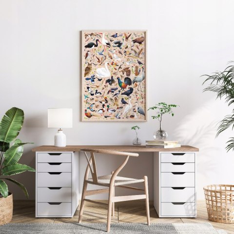 Puzzle Puzzlove CzuCzu Ptaki Polski 1000 elementów