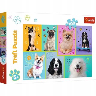 Puzzle w świecie piesków 100 elementów 16421 Trefl