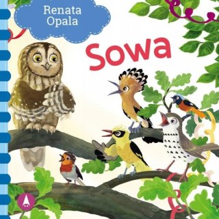 Sowa Opala Renata Bajki Wierszyki Bajka Skrzat