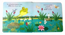 Mój świat żabka Książeczka przyrodnicza dla maluszków