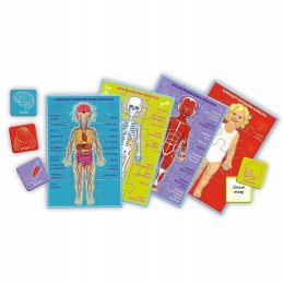 Moje Ciało Mały odkrywca gra edukacyjna Trefl