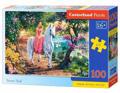 Puzzle 100 elementów Sekretny szlak Castorland 6+