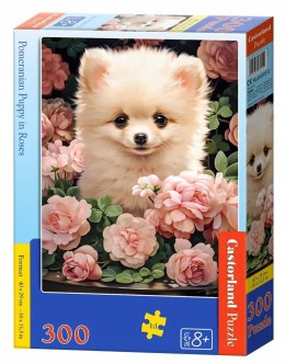 Puzzle 300 elementów Piesek szczeniaczek pomeranian w różach Castorland