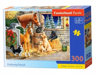 Puzzle 300 elementów Przyjaciele zwierząt Castorland