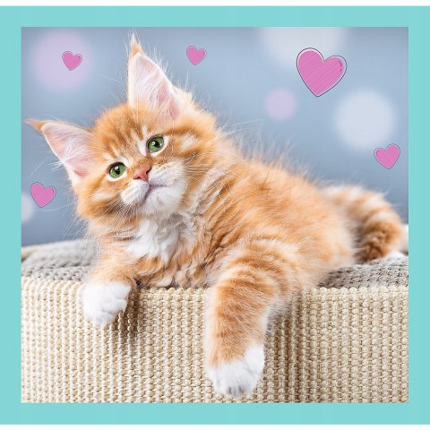 Puzzle 3w1 Słodkie Zwierzaki Trefl 34862