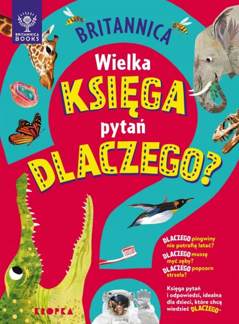Britannica Wielka księga pytań dlaczego? Sally Symes
