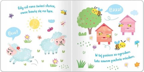 Na wsi Posłuchaj zwierząt Książeczka z dźwiękami Aksjomat