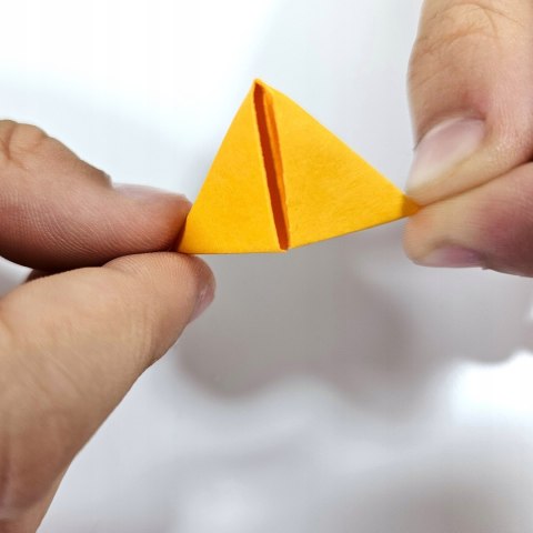 Origami 3D Papuga Alexander Papier Składanie 591 elementów 8+