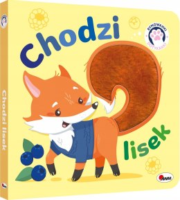 Rymowanki dotykanki Chodzi lisek Książka Sensoryczna