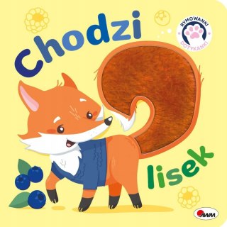 Rymowanki dotykanki Chodzi lisek Książka Sensoryczna
